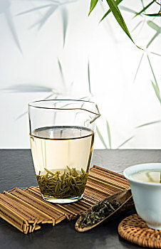 緬因家養(yǎng)貓多少錢？揭秘貓咪價格背后的秘密