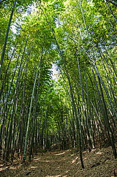 青島住家保姆價格是多少？選擇適合的保姆服務，讓生活更輕松！