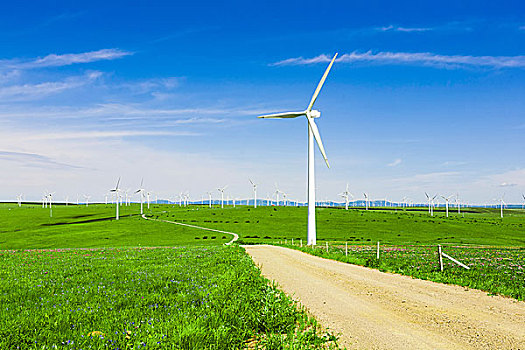 《晴雅集》電影放到多少號？揭秘這部電影背后的神秘與精彩