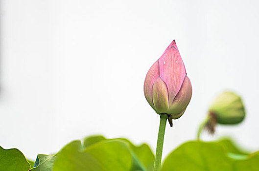 深圳伺候老人保姆多少錢(qián)？了解最新市場(chǎng)價(jià)格與服務(wù)詳情