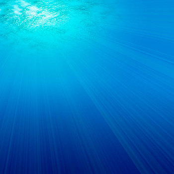 上海當保姆工資多少？揭秘上海保姆行業的薪資秘密