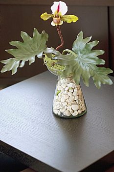 《我是李煥英》票房投資揭秘：如何成為國產(chǎn)電影的黑馬