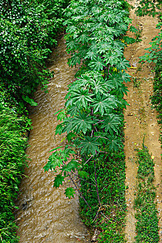 保母月工資多少錢？揭秘背后的薪資與職業前景