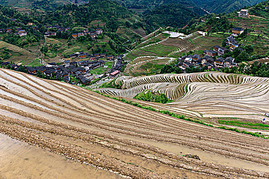 北京住家保姆多少錢一個月？揭秘高品質家庭服務的背后