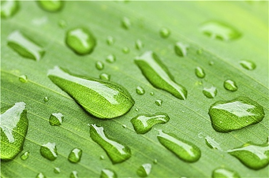 月嫂和保姆的工資是多少？揭秘這個(gè)行業(yè)的薪資差距