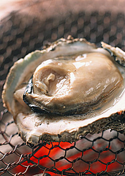 農(nóng)村50歲住家保姆的工資和生活現(xiàn)狀：值得了解的背后故事