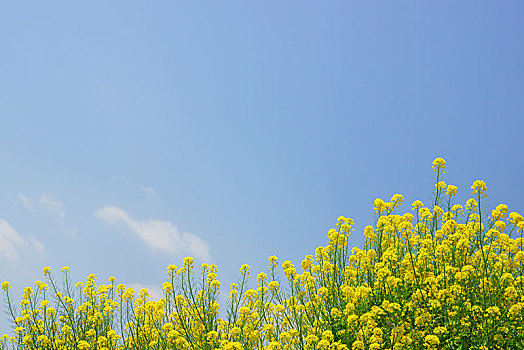 大連雇一個(gè)月嫂多少錢？選擇月嫂的價(jià)格與服務(wù)詳解