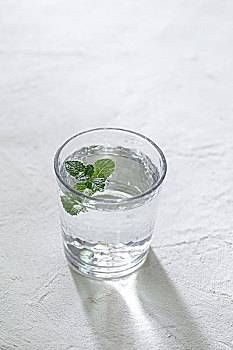 6個(gè)月緬因貓吃多少？讓我們一起了解這些可愛(ài)小精靈的飲食需求
