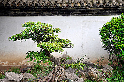 沈陽鐘點工每小時多少錢？揭開背后的秘密