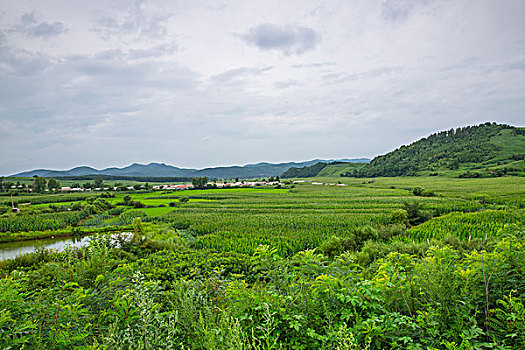 美國(guó)鐘點(diǎn)工工資：揭秘美國(guó)鐘點(diǎn)工市場(chǎng)的薪資現(xiàn)狀與趨勢(shì)