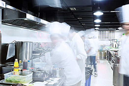 緬因貓5個月吃多少？為您的愛貓提供最佳喂養指南