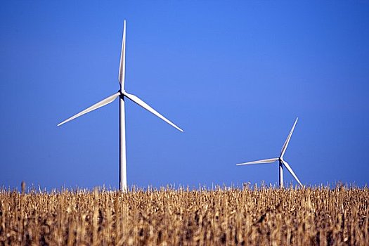 番禺保姆多少錢一月？讓我們告訴你正確答案