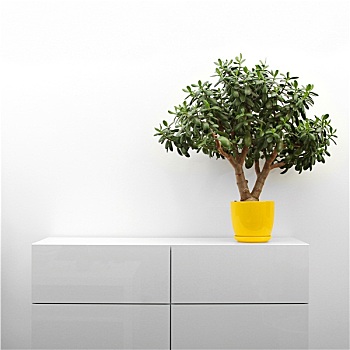 家政服務兩個小時多少錢？輕松享受高品質生活，價格實惠，讓你無憂！