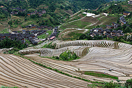 家政有多少錢一個月？揭秘家政行業的收入與前景