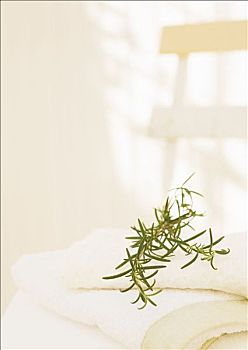 長春月嫂月工資多少？揭秘月嫂行業(yè)的薪資趨勢和發(fā)展前景