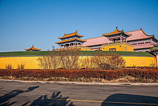 寵物約拍多少錢？帶你了解寵物攝影市場的潛力與價值
