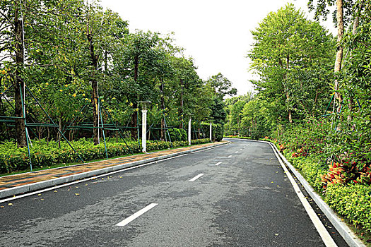 洛陽住家保姆月薪多少？揭秘洛陽住家保姆薪資待遇與市場行情
