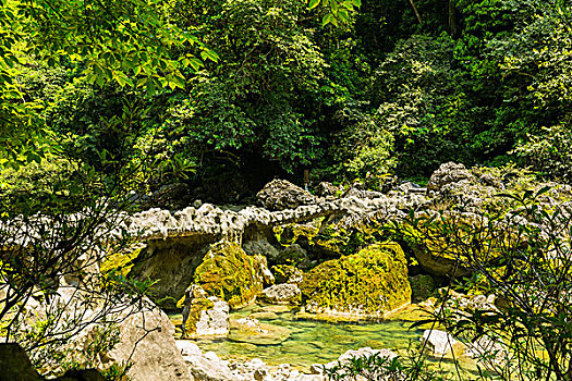 家政行業(yè)的發(fā)展與前景：一個(gè)正在崛起的職業(yè)領(lǐng)域