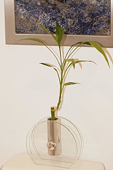 太原保姆服務市場深度分析：找太原保姆多少錢才合適？