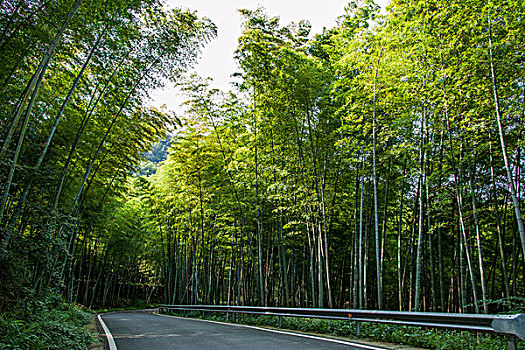 北京住家保姆多少錢？揭秘雇傭住家保姆的費用與選擇技巧
