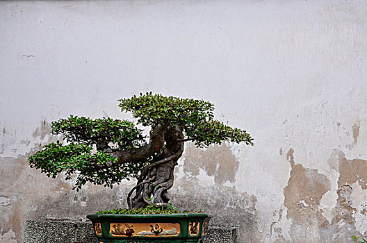大連請(qǐng)保姆帶孩子多少錢？如何選擇合適的育兒保姆？
