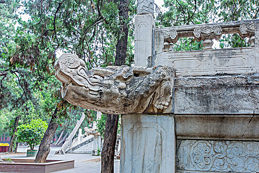 電影《除暴》總投資多少錢？揭秘背后的資金鏈和票房前景