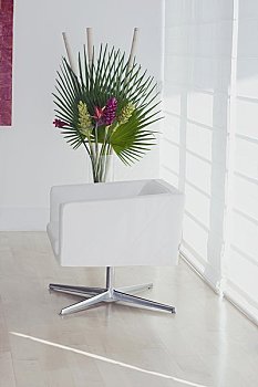 青島醫(yī)院陪護(hù)費(fèi)用揭秘——您了解一天的陪護(hù)服務(wù)費(fèi)用嗎？