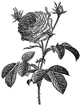 高級管家培訓(xùn)學(xué)費多少錢？揭開管家行業(yè)的職業(yè)前景與投資價值