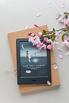 專門(mén)做飯的保姆多少錢(qián)？了解價(jià)格背后的價(jià)值