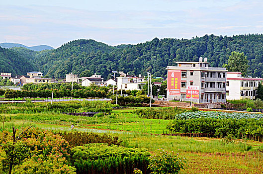 普蘭店帶孩子保姆多少錢(qián)？如何選擇合適的保姆，提升育兒質(zhì)量？