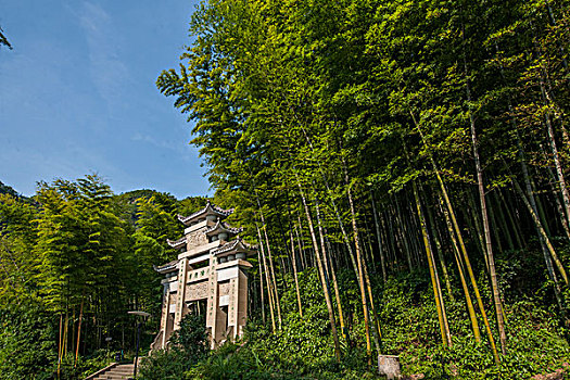 珠海親子鑒定費用是多少？深入了解珠海親子鑒定服務的價格與流程