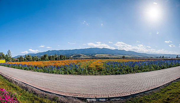 保母的工資多少？解密保母行業的薪酬標準與發展前景