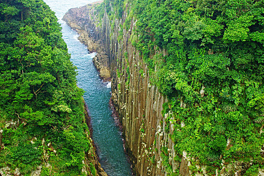 沐浴之王制作成本多少錢？揭秘行業(yè)背后的高昂投入