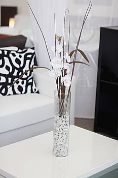 南京保姆一個(gè)小時(shí)多少錢？揭秘南京保姆行業(yè)的價(jià)格與服務(wù)