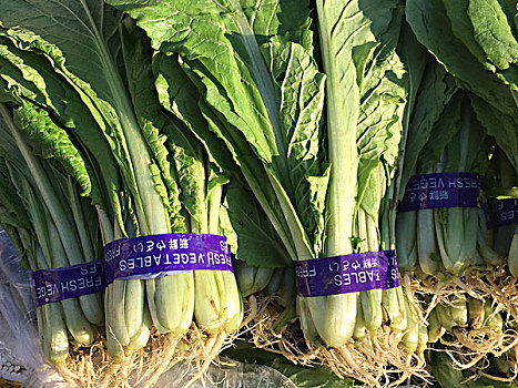 廣州番禺保姆工資多少？了解保姆行業(yè)現(xiàn)狀與薪資趨勢