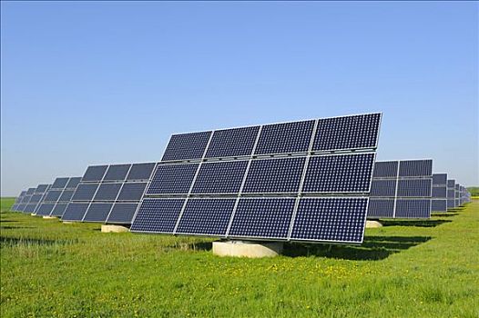 豬屠電影制作成本是多少？揭秘背后的巨額投資