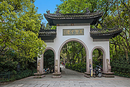 緬因貓每月花多少錢？了解這只高貴貓咪的真實開銷