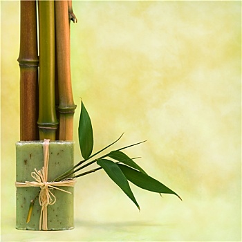 西安全職保姆多少錢(qián)一個(gè)月？了解西安保姆市場(chǎng)的真實(shí)情況