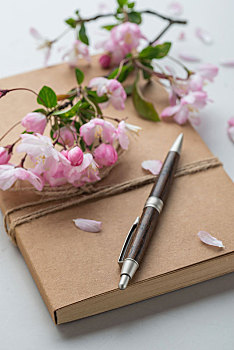 《赤狐書(shū)生》票房飆升，文化與娛樂(lè)的完美碰撞