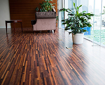 楊浦區家政服務行業的現狀與發展前景