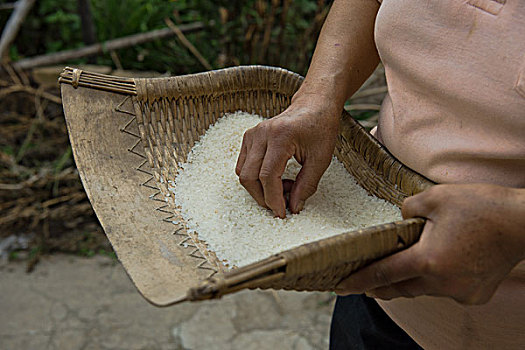 找個鐘點工阿姨多少錢？揭秘鐘點工服務價格與選擇技巧