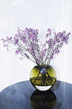 《哪吒重生》票價揭秘！你不容錯過的震撼視聽體驗