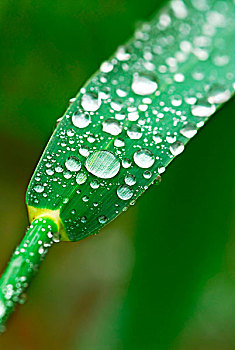 花橋找個保姆多少錢？揭秘保姆費用的背后真相