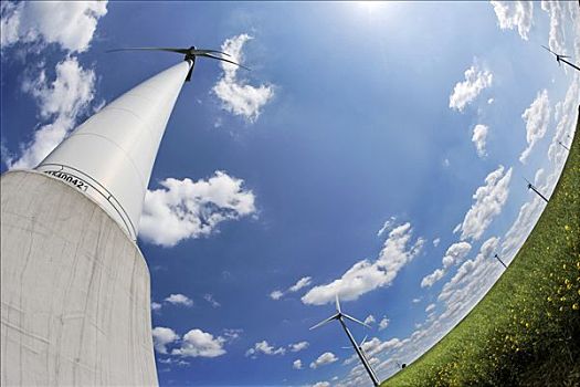賈玲投資電影多少錢？揭秘背后的資本運作與市場影響