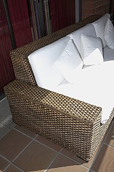 藍金英短一般多少錢？了解英國短毛貓藍金色品種的價格及購買建議