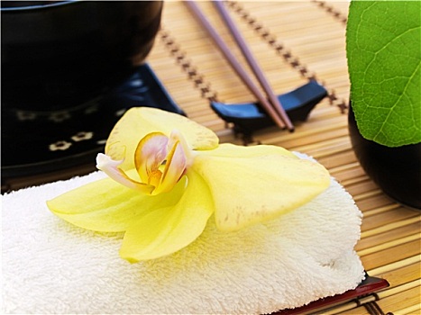 武漢月嫂培訓要多少錢？深度剖析月嫂行業的前景與投資回報