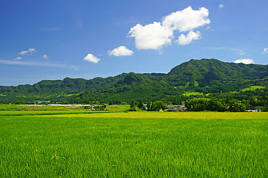 福州保姆一個(gè)小時(shí)多少錢？最全價(jià)格指南，幫您找到最適合您的保姆