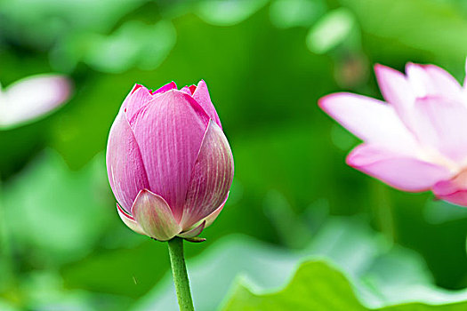 不做飯保姆多少錢？讓生活更輕松的優(yōu)質(zhì)服務(wù)解析
