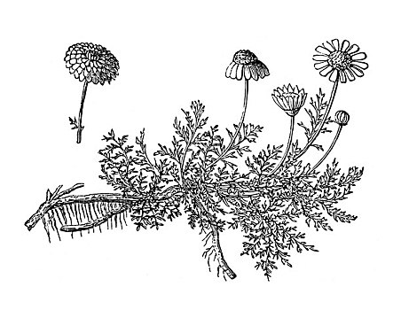 花都家政基本工資多少錢？揭秘行業(yè)內(nèi)幕