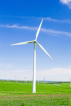 溫暖的抱抱票房大揭秘：感動全城，溫情電影席卷銀幕
